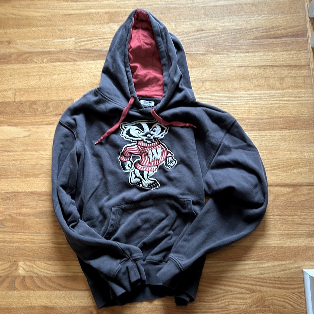 Wisconsin Badgers Bucky embroidered youth sweatshirt. Size medium. Dark gray.